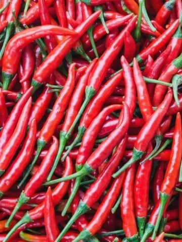 Capsaicin Salve